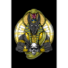 Egyptisk mytologi Gud Anubis