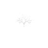 Thallophytes