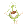 Squash