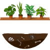 Gärtnerin Pflanzen