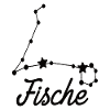 Sternzeichen Fische - Tierkreiszeichen