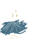 explore more