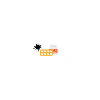 Ich bin nicht alt