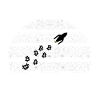 The revolutionary Bitcoins