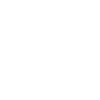 Evolution Pirat