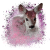 deer pink,wild,fawn,graffiti,bambi,fawn,foal
