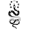 Snake Moon Phases