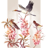 Fleurs asiatiques Oiseaux Aquarelle