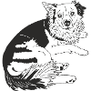 Zwergpinscher Mix