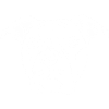 PB Terrier