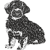 Mischlingshund