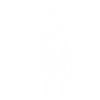 Malinois