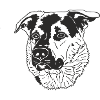 Schäferhund Mix