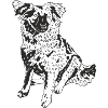 Mischlingshund