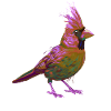 Bunter Splash Vogel Rotkardinal