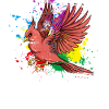 Flying Splash Bird Red Cardinal