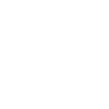 taxi driver chauffeur driver