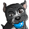 Cute puppy with ball