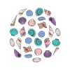 Cute Seashells