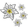 volksfeste frau, traditionelles blumenmuster