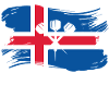 Island Dart Player Design / Dartskive