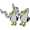 2 Stoner Seagull Friends