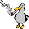 Stoner Seagull Smoking Hemp