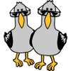 2 Équipe seagull Friends