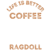 Ragdoll Cat Coffee Cafe