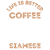 Café Siam Cat
