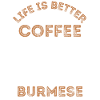 Burma Cat Coffee Cafe