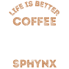 Café Sphynx Cat