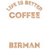 Burmese Cat Coffee Cafe