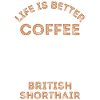 Café British Shorthair Cat