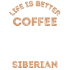 Siberian Cat Coffee Cafe