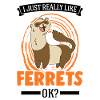 J’aime beaucoup Ferrets Frettchen