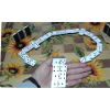 Domino