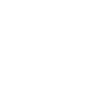Princess Security