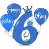 6 Birthday Boy Balloon