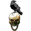crow skull