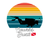 Caravelas Brazil Diving