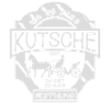 Kutscher Kutsche Pferd Pferdekutsche