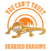 Bearded Dragon Pogona Gift