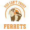Ferret Lover Ferret Gift