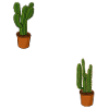 Mein Garten meine Passion