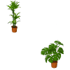 Mein Garten meine Regeln