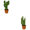 Mein Garten meine Regeln