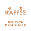 Deutsch Drahthaar Kaffee Hund Cafe