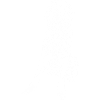 Bernersennen Hund