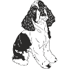 Cocker Spaniel